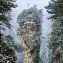 Wilderness Experience