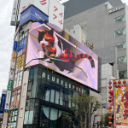 Wilderness Experience